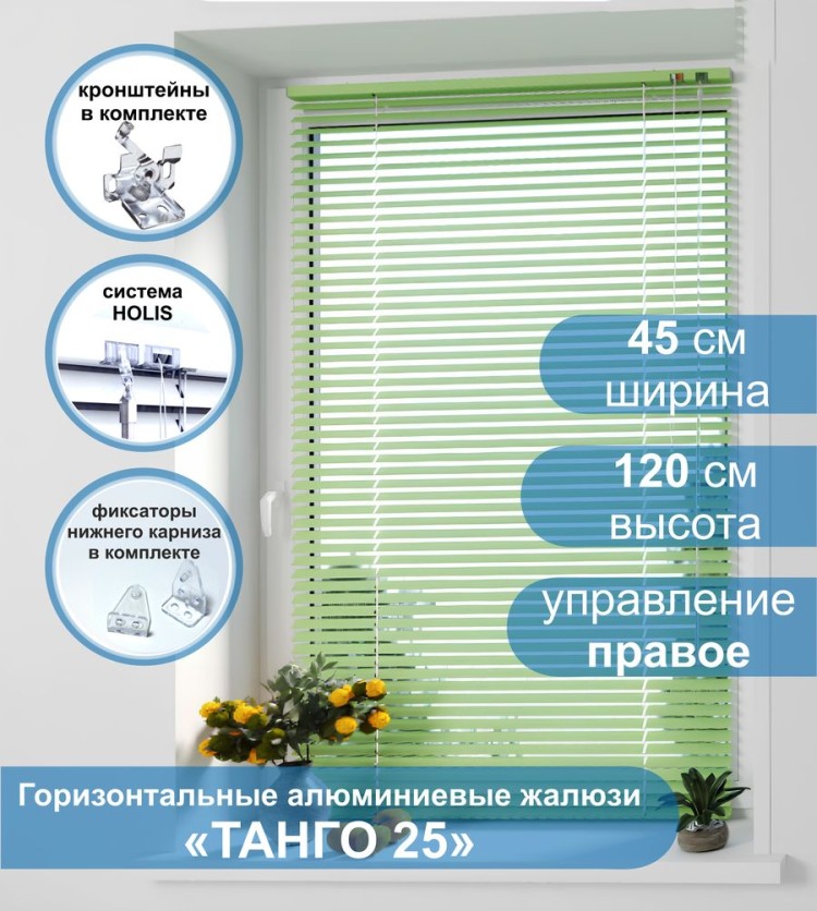 Жалюзи горизонтальные алюминиевые &quot;Танго 25&quot;, Киви 5421, 45х120 см , упр Правое Жалюзи горизонтальные алюминиевые "Танго 25",Киви 5421, 45х120 см , упр Правое - это классические горизонтальные жалюзи с глянцевыми, однотонно окрашенными в зеленый цвет, ламелями (пластинами) шириной 25 мм.